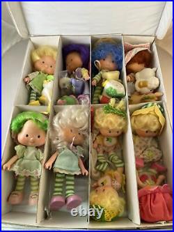 32pc Lot The Berries Deluxe Carry Case 1982 Strawberry Shortcake Dolls Pets