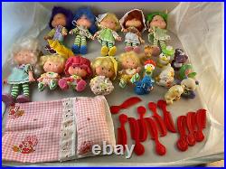 32pc Lot The Berries Deluxe Carry Case 1982 Strawberry Shortcake Dolls Pets