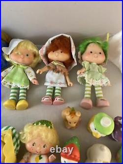 32pc Lot The Berries Deluxe Carry Case 1982 Strawberry Shortcake Dolls Pets