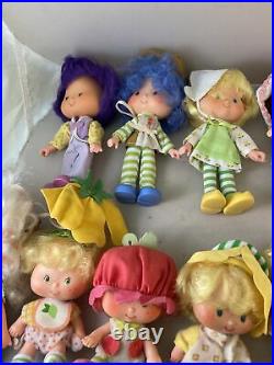 32pc Lot The Berries Deluxe Carry Case 1982 Strawberry Shortcake Dolls Pets