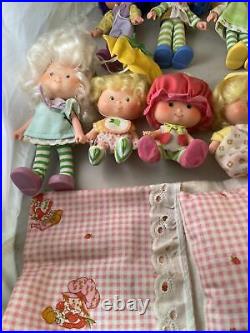 32pc Lot The Berries Deluxe Carry Case 1982 Strawberry Shortcake Dolls Pets