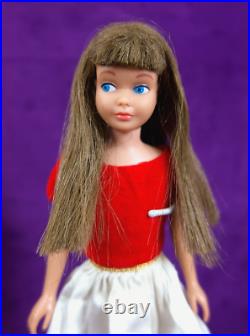 3 Vintage SL SKIPPER LOT Barbie Clothing Flower Town Days Fun Dreamtime Accs BIN