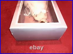 Franklin Mint Elizabeth Taylor Vinyl Portrait Doll with Box Stand Has Tag Read