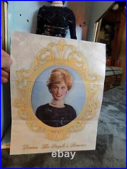 Franklin mint princess diana doll le 750 with brochure and coa please read below