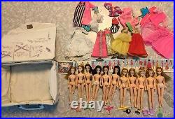 Huge Lot 11 Topper Dawn Dolls Clothing Lunchbox shoes model dancing accessories