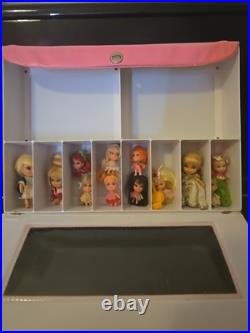 Liddle Kiddle Collectors Case & 12 Kiddles. Pretty Little Tiny Dolls. Qld Aust