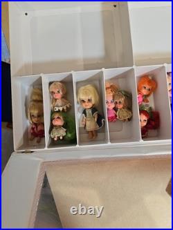 Liddle Kiddle Collectors Case & 12 Kiddles. Pretty Little Tiny Dolls. Qld Aust