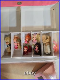 Liddle Kiddle Collectors Case & 12 Kiddles. Pretty Little Tiny Dolls. Qld Aust