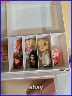Liddle Kiddle Collectors Case & 12 Kiddles. Pretty Little Tiny Dolls. Qld Aust
