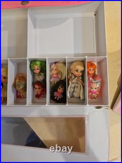 Liddle Kiddle Collectors Case & 12 Kiddles. Pretty Little Tiny Dolls. Qld Aust
