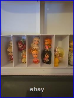 Liddle Kiddle Collectors Case & 12 Kiddles. Pretty Little Tiny Dolls. Qld Aust