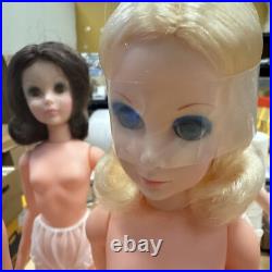 Lot Of 6 14 Inch Vintage 1963 Eegee Co. Fashion Doll Opens Closes Eyes Lot Of 6 14 Inch Vintage 1963 Eegee Co. Fashion Doll Opens Closes Eyes
