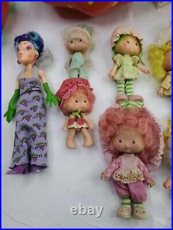 Lot of Vintage Strawberry Shortcake Dolls Pets Playsets READ 80's