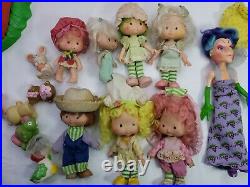 Lot of Vintage Strawberry Shortcake Dolls Pets Playsets READ 80's