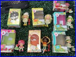 Rare! Vintage Kenner 1980s Strawberry Shortcake Dolls Huge Lot 52 Dolls W Boxes