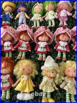 Rare! Vintage Kenner 1980s Strawberry Shortcake Dolls Huge Lot 52 Dolls W Boxes