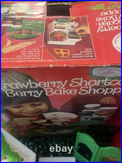 Rare! Vintage Kenner 1980s Strawberry Shortcake Dolls Huge Lot 52 Dolls W Boxes