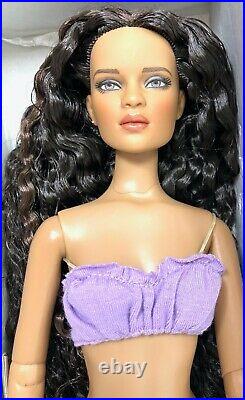 Tonner 2010 Jon-Brunette preowned MINT-Seller is away until 2/14/22