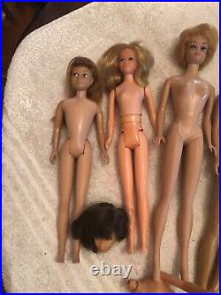 Vintage Huge Barbie Lot Francie Ken Bubblecut Skipper Chris, Clothes & Access