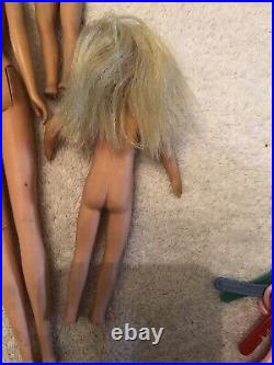 Vintage Huge Barbie Lot Francie Ken Bubblecut Skipper Chris, Clothes & Access