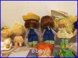 Vintage Strawberry Shortcake Doll Lot 13 Dolls Kenner 1980s