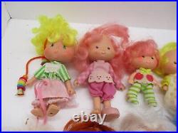 Vintage Strawberry Shortcake Doll and Accessory Lot 14 Dolls, Clothing Etc
