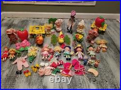 Vintage strawberry shortcake lot 1980's dolls pets Playsets berry sweet