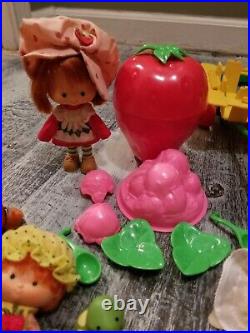 Vintage strawberry shortcake lot 1980's dolls pets Playsets berry sweet