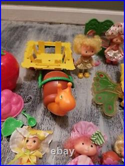 Vintage strawberry shortcake lot 1980's dolls pets Playsets berry sweet