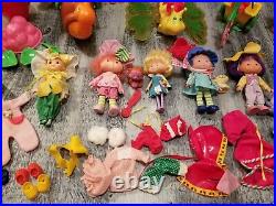 Vintage strawberry shortcake lot 1980's dolls pets Playsets berry sweet