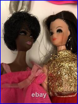 Vtg Topper Dawn and her Friends Doll Case 9 Dolls With Clothes & Accessories 70s